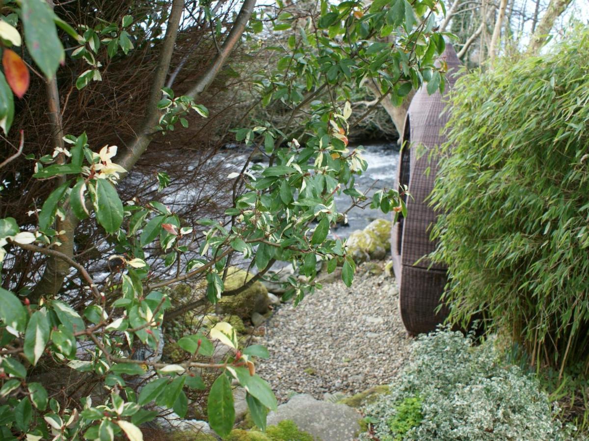 Talybont Bed And Breakfast Barmouth Extérieur photo